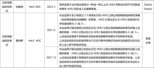 盘点国内已上市ADC与双抗药物全景图及国内贸易代理格局